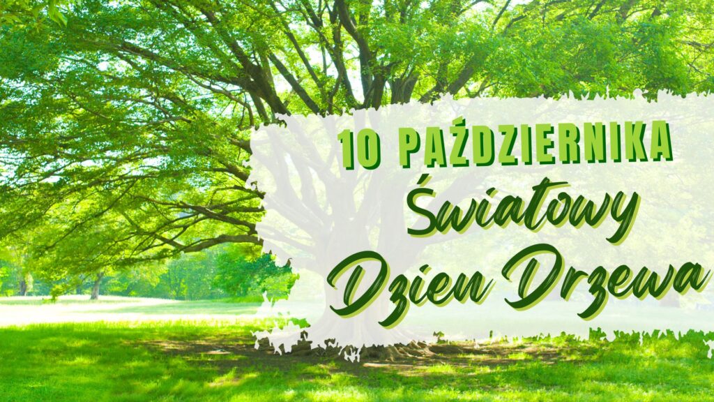 plakat informujący o światowym dniu drzewa