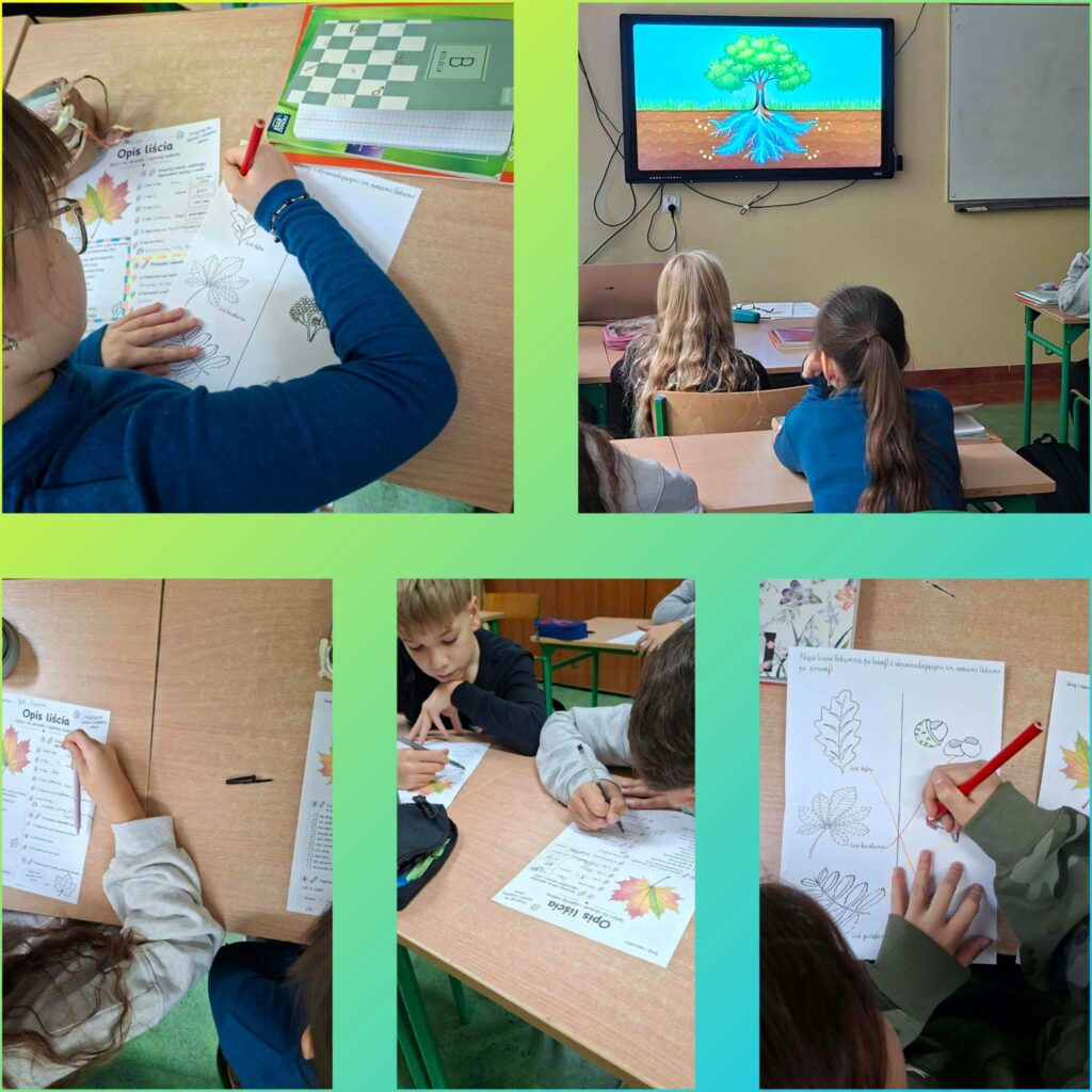 uczniowie kolorujący liście i oglądający rodzaje drzew